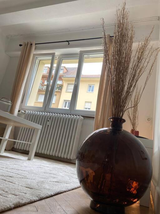 Apartamento Charismatique Orangerie-10Min Parlement Eu-Wifi-Tv Estrasburgo Exterior foto