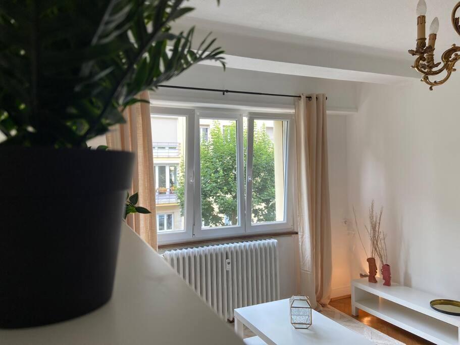 Apartamento Charismatique Orangerie-10Min Parlement Eu-Wifi-Tv Estrasburgo Exterior foto